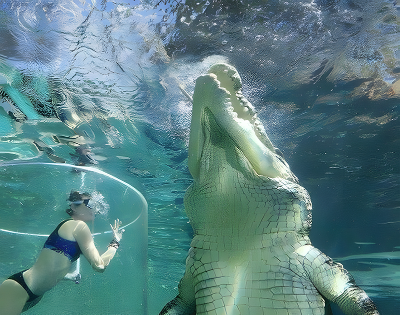 Zvířata, která jsou v reálu MEGA větší než v TV Zvířata, která jsou v reálu MEGA větší než v TV